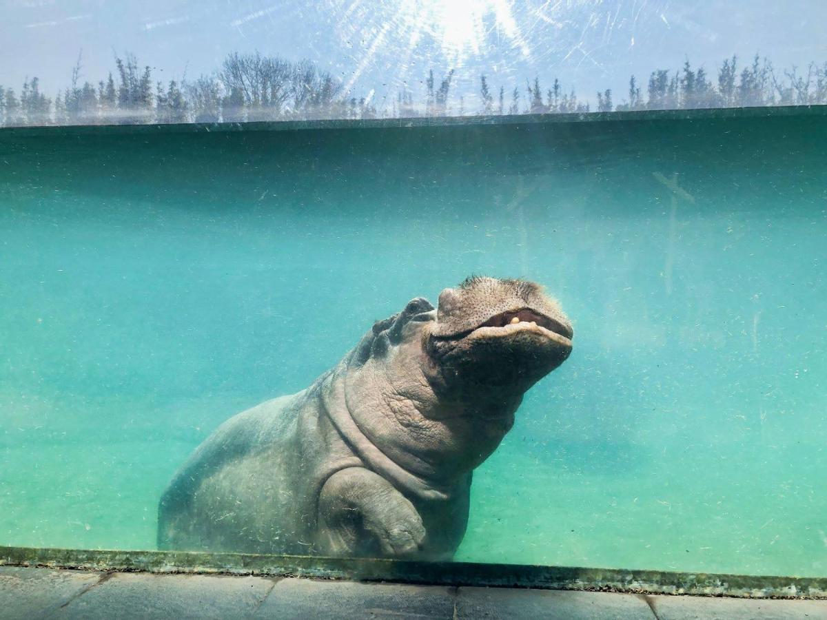 Vakantiewoning Hakuna Matata ヘラールツベルヘン エクステリア 写真